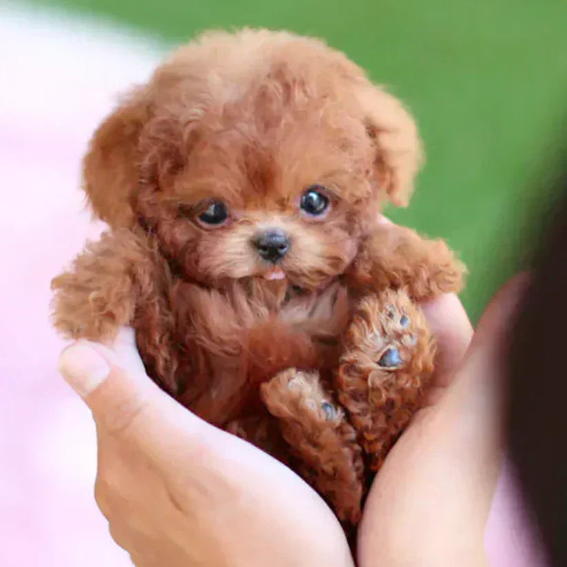Original Realistic Robot Puppy🐶