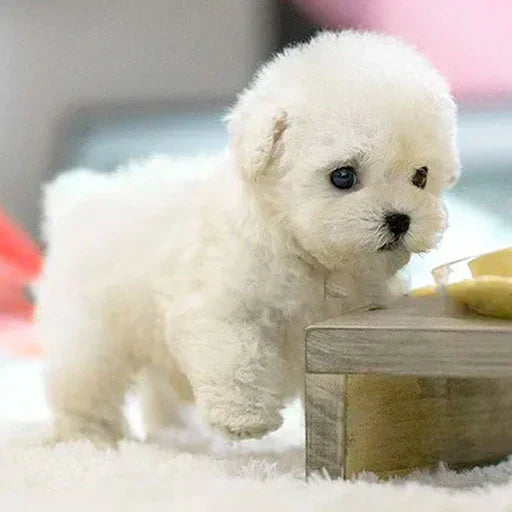 Original Realistic Robot Puppy🐶